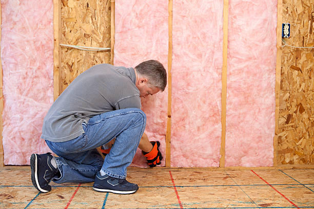 Best Commercial Insulation in Mantua, VA